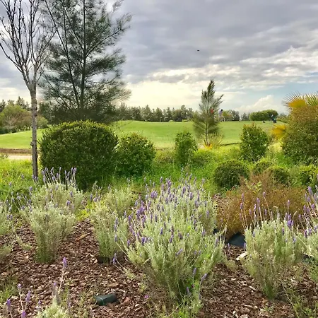 Ferias By Ethnic Ocean *