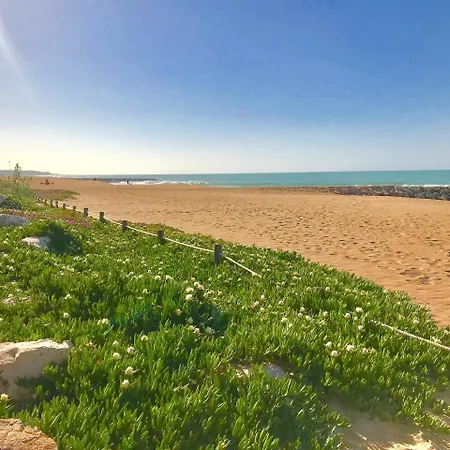 Ferias By Ethnic Ocean