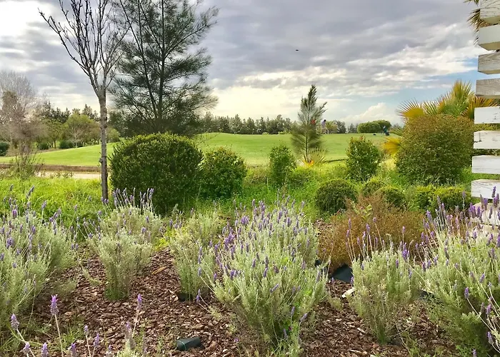 Ferias By Ethnic Ocean *